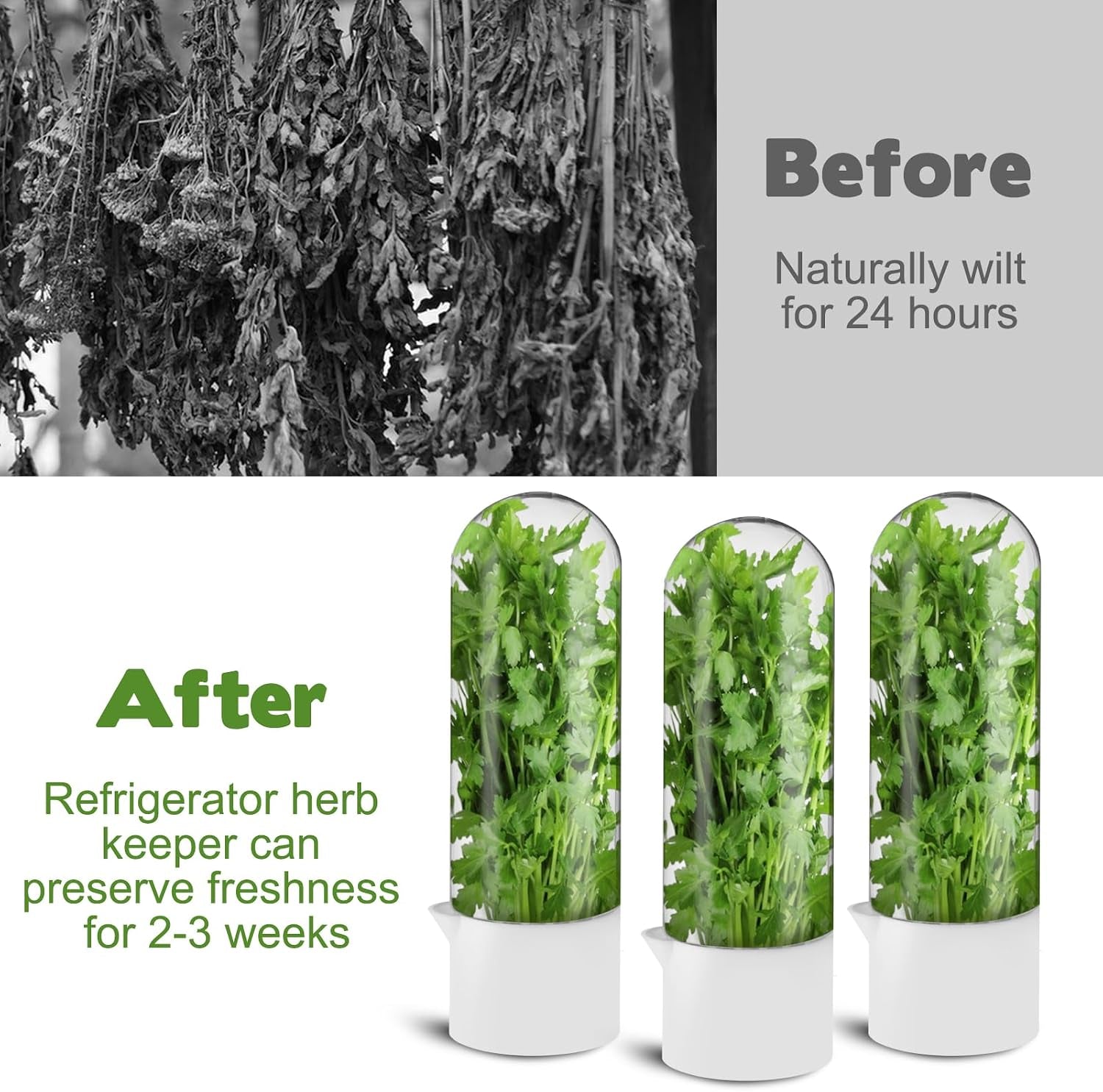 Premium Herb Saver & Fresh Keeper (3-Pack)
