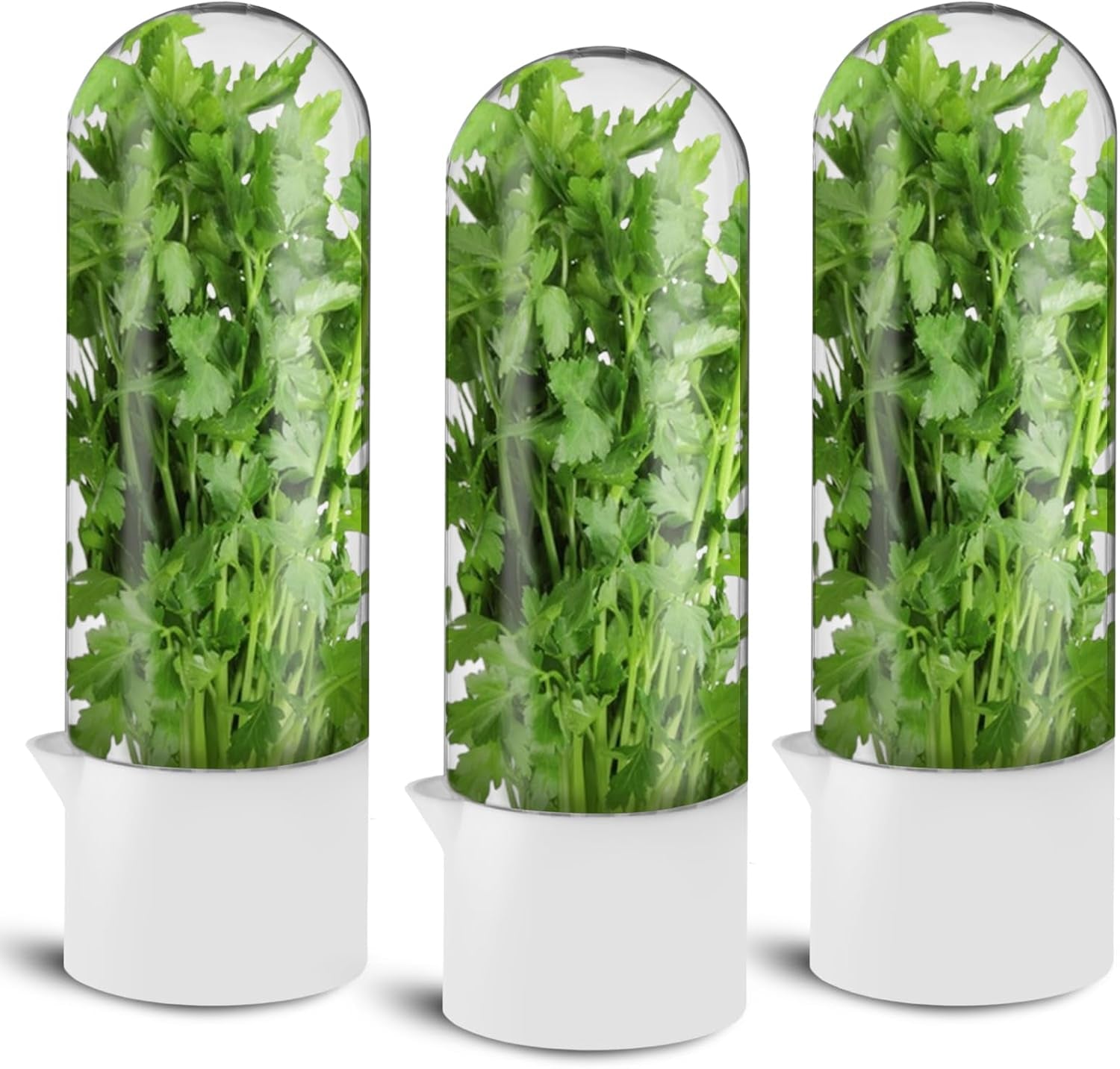 Premium Herb Saver & Fresh Keeper (3-Pack)